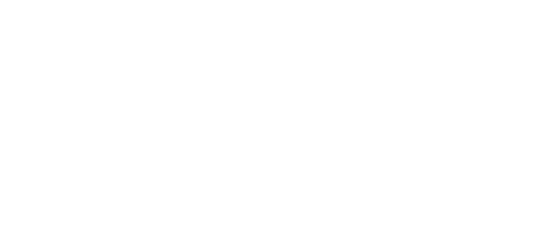 JM Plaquiste logo